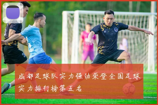 成都足球队实力强劲荣登全国足球实力排行榜第五名