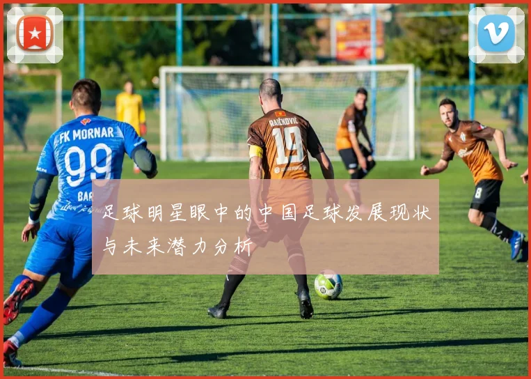 足球明星眼中的中国足球发展现状与未来潜力分析