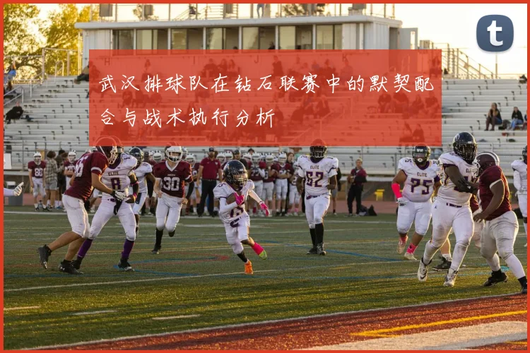 武汉排球队在钻石联赛中的默契配合与战术执行分析