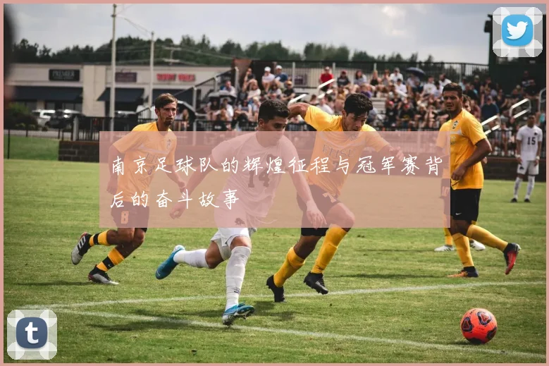 南京足球队的辉煌征程与冠军赛背后的奋斗故事