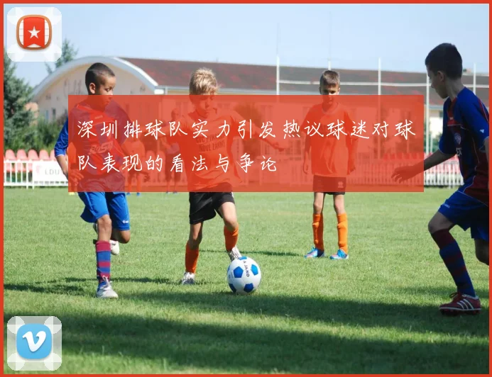 深圳排球队实力引发热议球迷对球队表现的看法与争论