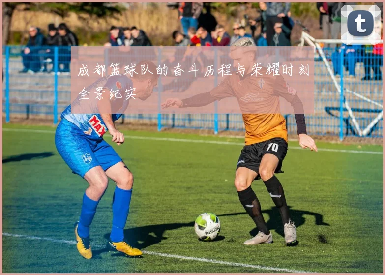 成都篮球队的奋斗历程与荣耀时刻全景纪实