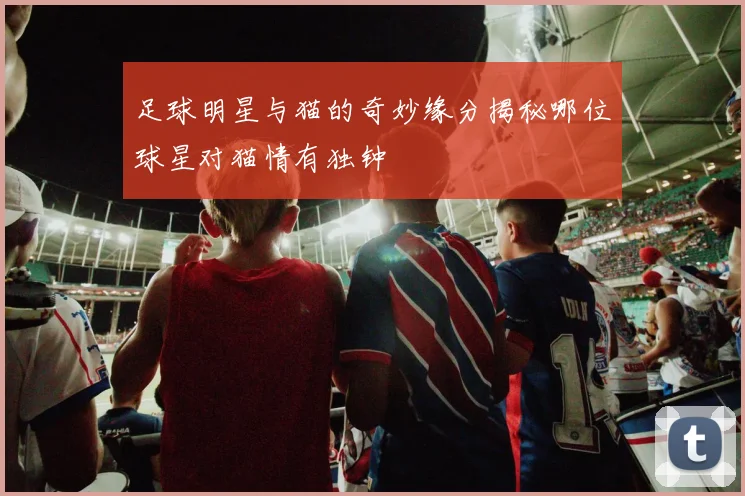 足球明星与猫的奇妙缘分揭秘哪位球星对猫情有独钟