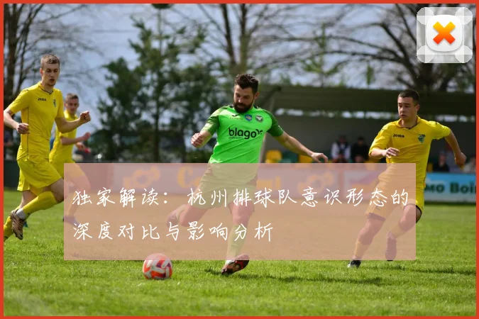 独家解读：杭州排球队意识形态的深度对比与影响分析
