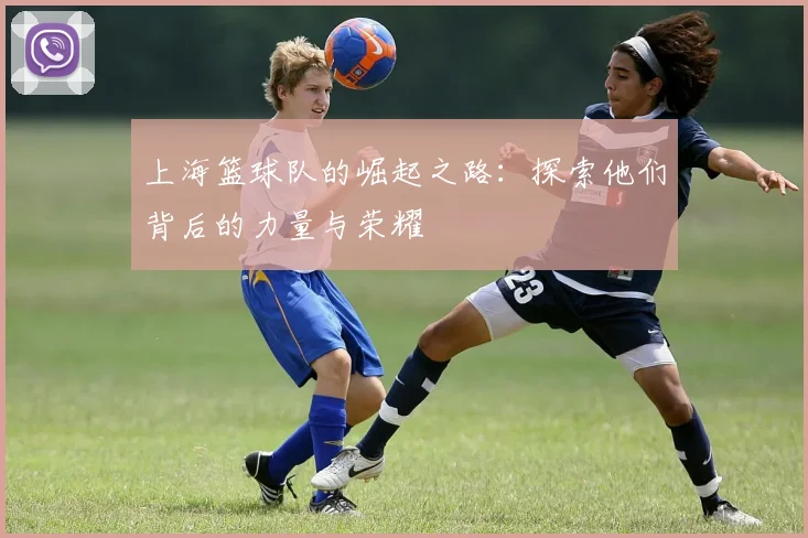 上海篮球队的崛起之路：探索他们背后的力量与荣耀