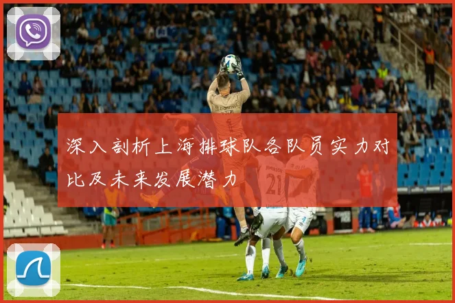 深入剖析上海排球队各队员实力对比及未来发展潜力