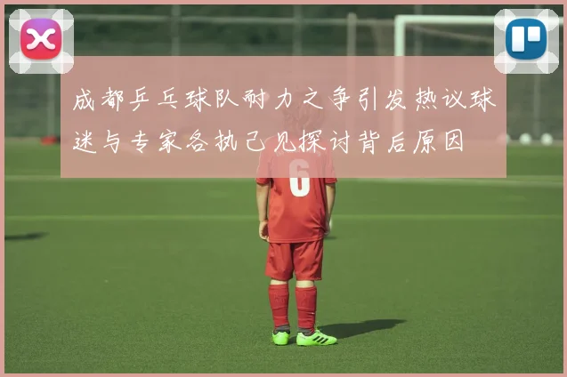 成都乒乓球队耐力之争引发热议球迷与专家各执己见探讨背后原因