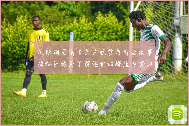 足球明星高清图片欣赏与背后故事揭秘让你更了解他们的辉煌与努力