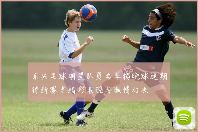 东兴足球明星队员名单揭晓球迷期待新赛季精彩表现与激情对决