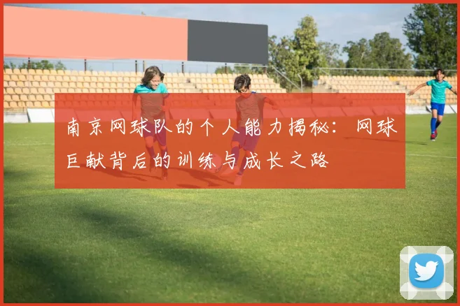 南京网球队的个人能力揭秘：网球巨献背后的训练与成长之路