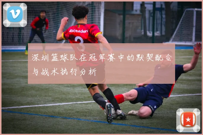 深圳篮球队在冠军赛中的默契配合与战术执行分析