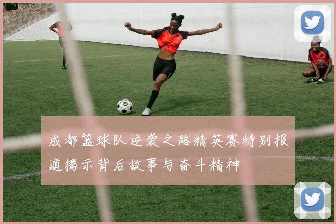 成都篮球队逆袭之路精英赛特别报道揭示背后故事与奋斗精神