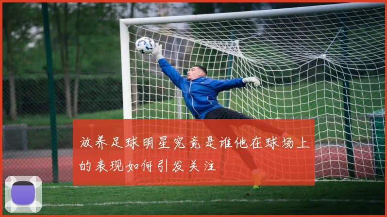 放养足球明星究竟是谁他在球场上的表现如何引发关注